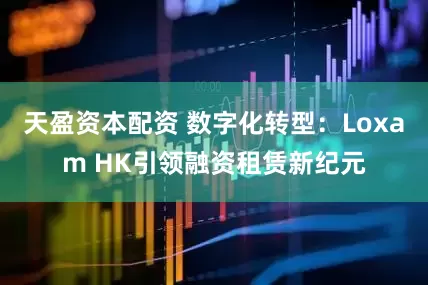 天盈资本配资 数字化转型：Loxam HK引领融资租赁新纪元