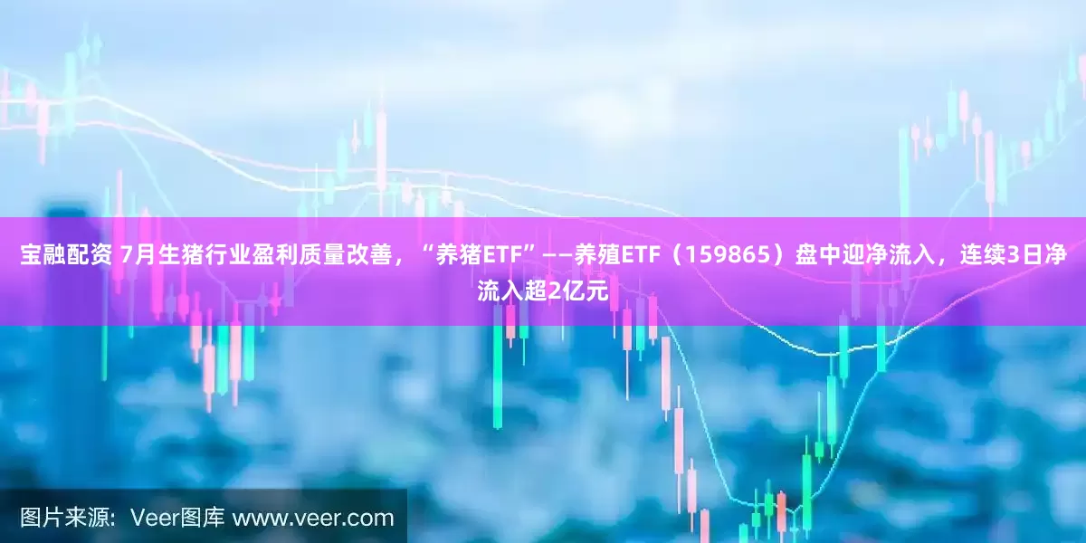 宝融配资 7月生猪行业盈利质量改善，“养猪ETF”——养殖ETF（159865）盘中迎净流入，连续3日净流入超2亿元