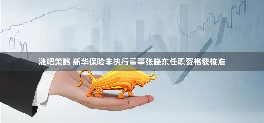 涨吧策略 新华保险非执行董事张晓东任职资格获核准
